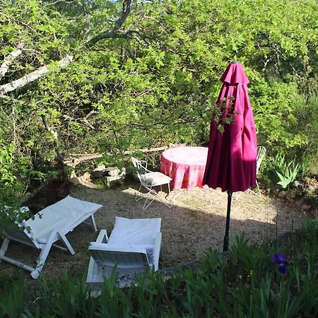La Pinede De Ragan - Le Ventoux